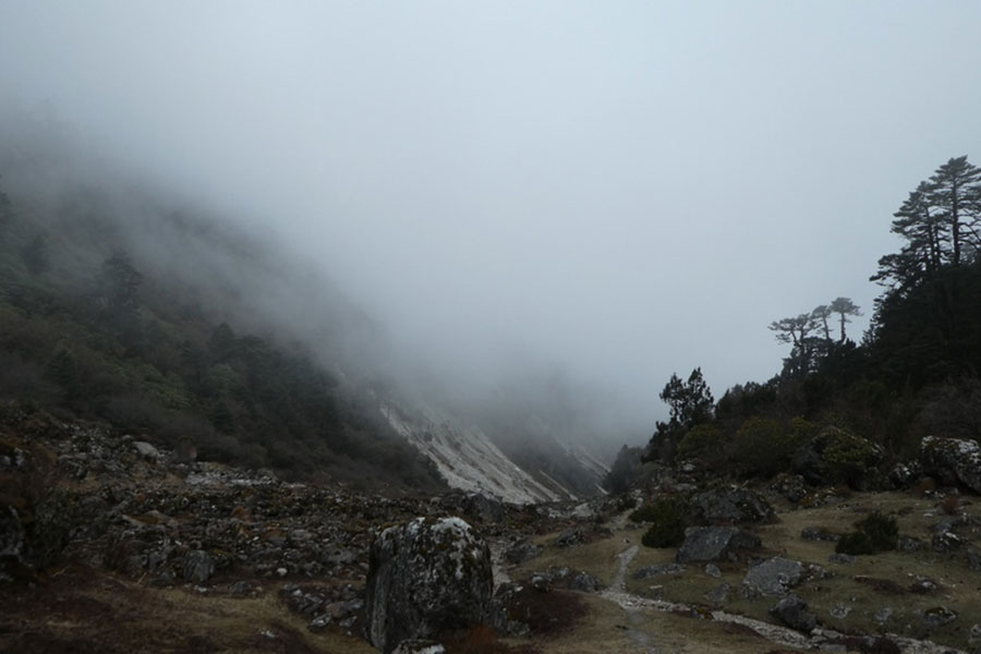 brouillard